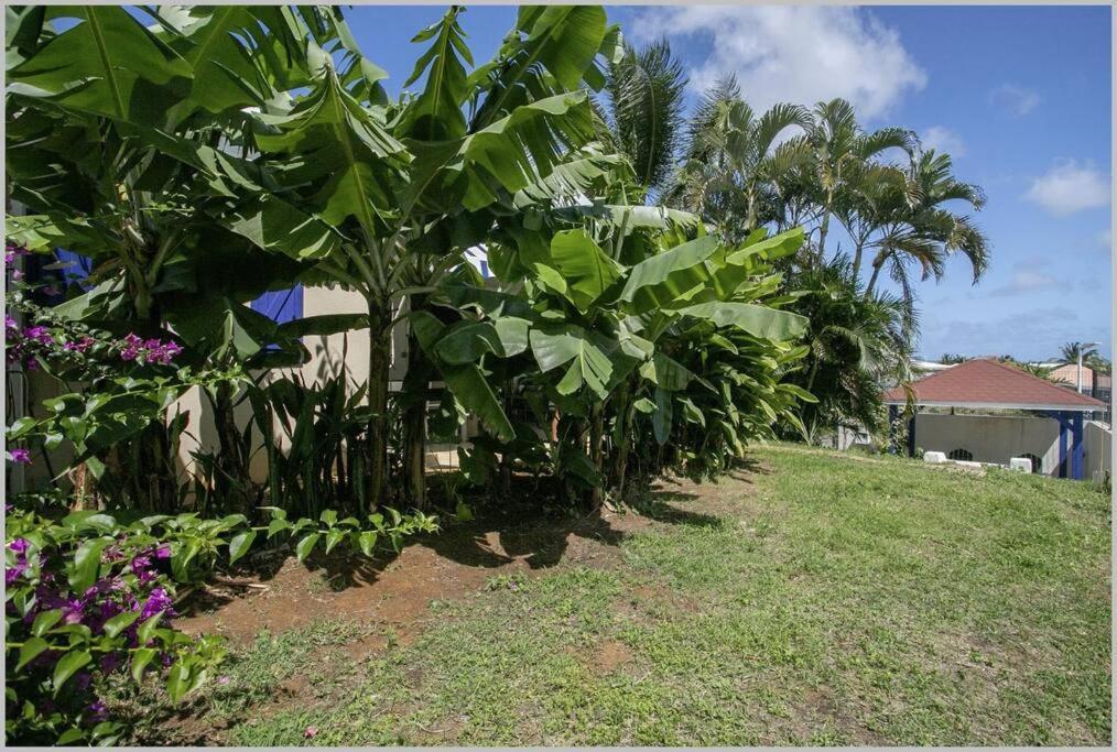 Villa Mango 150 Metres Plage A Pied Sainte-Luce Exteriör bild