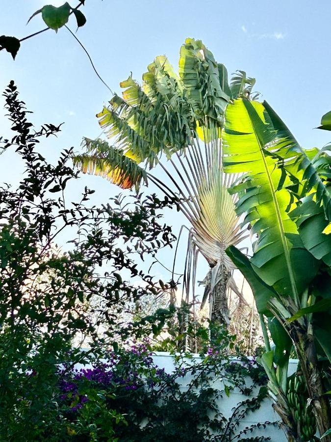 Villa Mango 150 Metres Plage A Pied Sainte-Luce Exteriör bild